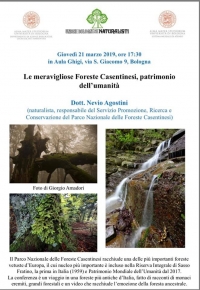 21 marzo - Aula Ghigi - le meravigliose Foreste Casentinesi patrimonio dell&#039;umanità